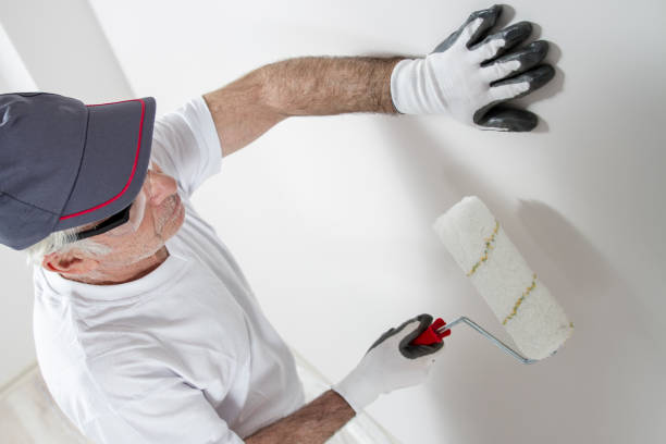 Best Asbestos and Lead Testing During Mold Inspection  in Lakeview, GA