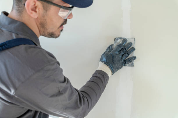 Best Attic Mold Removal  in Lakeview, GA