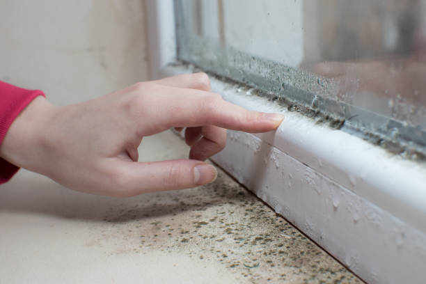 Best Air Quality Testing for Mold Spores  in Lakeview, GA