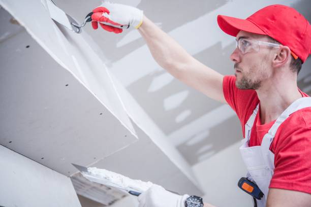 Best Environmental Consulting for Mold Prevention  in Lakeview, GA